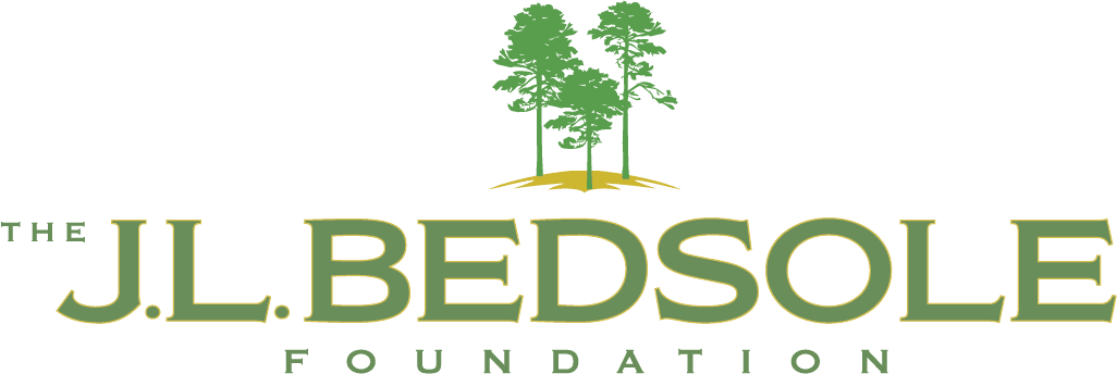 A green logo with trees and the words beds foundation.